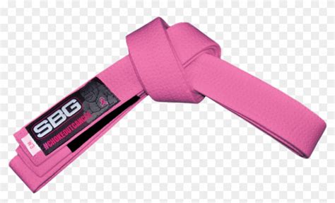 Pink Karate Belt - Pink Jiu Jitsu Belt, HD Png Download - 900x510 ...