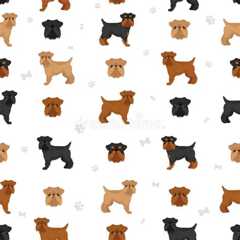 Brussels Griffon Seamless Pattern. Different Coat Colors and Poses Set ...