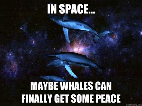 quickmeme: the funniest page on the internet | Whale, Funny, Memes