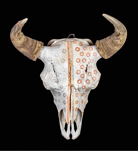 Sold Price: 19th C. Native American Painted Bison Skull - February 4, 0121 8:00 AM MST