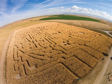 Green Acres Corn Maze in Casper, WY | Petting Farm & Pumpkin Path