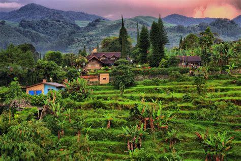 Puncak - Indonesia : HDR : | Use : Dynamic-Photo HDR .. Ask … | Flickr