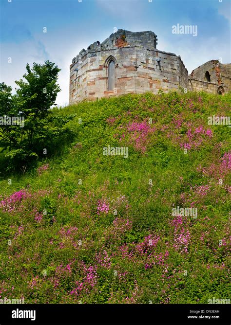 The ruins of Stafford Castle Staffordshire England UK a gothic revival stone keep built on the ...