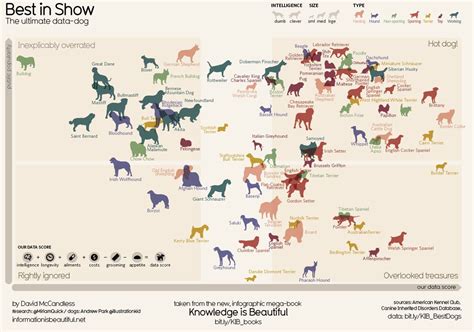 Best dog breeds, Dog infographic, Dog chart