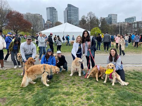 Golden retrievers cross Boston Marathon finish line to honor beloved ...