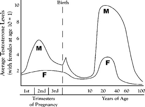 The life-cycle average testosterone levels for males (M) and females ...