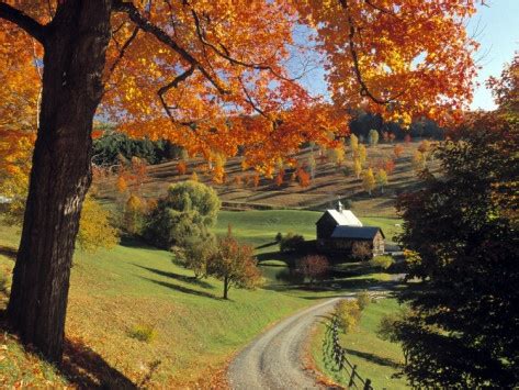 'Fall Foliage, Vermont, USA' Photographic Print - Gavin Hellier ...