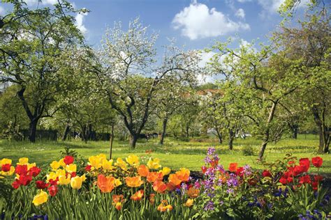 Fun Facts About Spring | FunFacToday.com