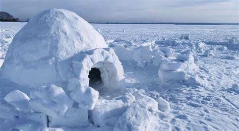 Igloo Shelters: How to Build the Cold Weather Protection - Survival World