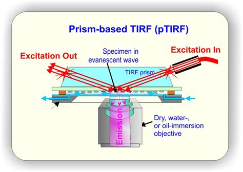 TIFR Microscopy – tirf-labs.com