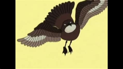 Skua Bird | Fictional Characters Wiki | Fandom