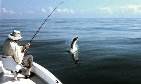 Tarpon Sport Fishing in Costa Rica | Sport Fishing Charters ...