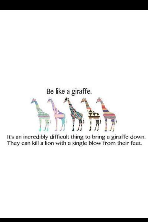 Giraffe quote