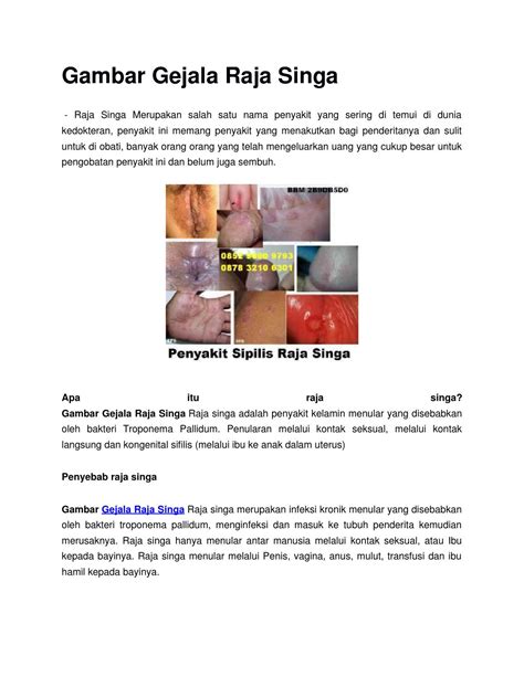 Gambar gejala raja singa by Fian Adi Bowo - Issuu