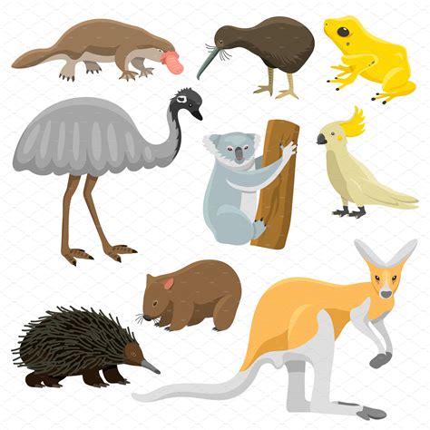 Australian Animals Clip Art - Image to u