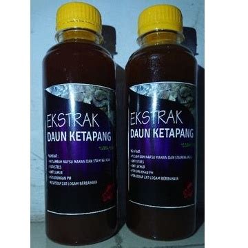 Ketapang Leaf Extract 250ml. | Shopee Philippines