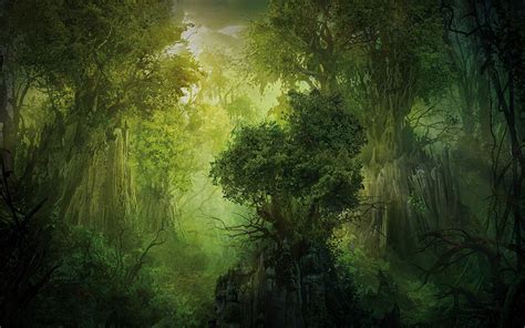 Fantasy Forest Art