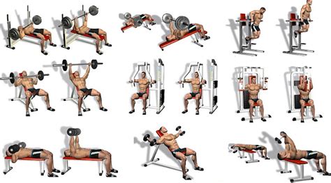 Five Best Chest Exercises To Make The Gym Jealous Of Your Pecs - Bodydulding