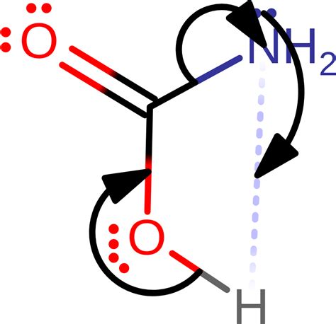 Carbamate Dissociates From The Active Site And Is Spontaneously Clipart ...