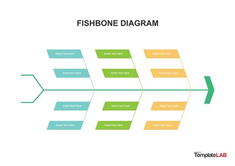 Lab Fishbone Template Word