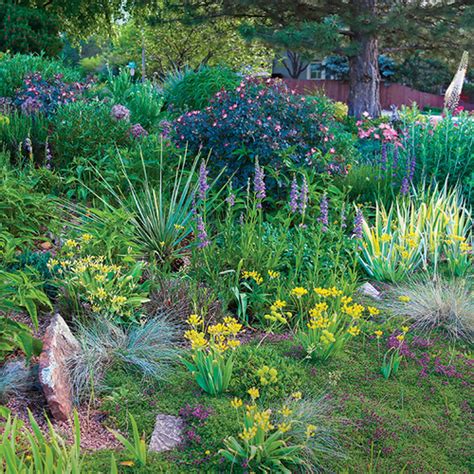 A Water-Wise Garden That Wows - Fine Gardening