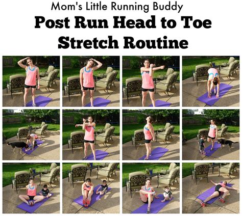 Post Run Stretching Routine | Post workout stretches, Post workout, Fun workouts