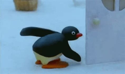 Pingu GIFs | Tenor