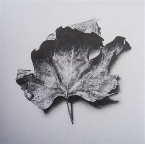 how to draw a leaf with shading