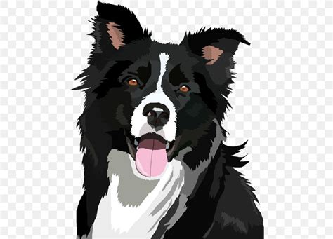 Border Collie Clipart - Free Download for Your Designs