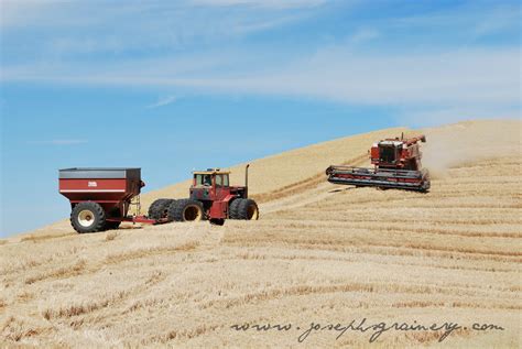 Joseph's Grainery: It's Harvest Time! - Palouse Wheat Harvest