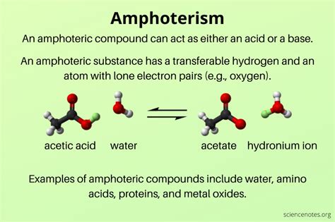 Amphoterism - Amphoteric Definition and Examples | Chemistry education, Lewis acids and bases ...