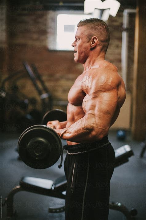 "Male Bodybuilder Lifting Weights In Gym" by Stocksy Contributor "Jess ...