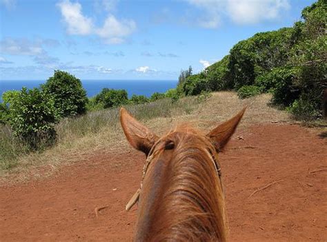 Explore The North Shore, Maui Snorkeling & Horseback Riding: Show 10 | Hawaii Travel Podcast