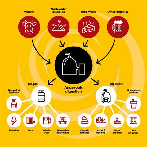 Anaerobic Digestion Feedstock Supply & Transport | Whitkirk Waste