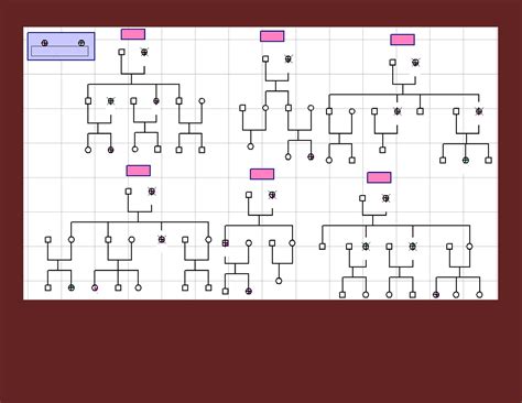 30 Free Genogram Templates & Symbols ᐅ TemplateLab