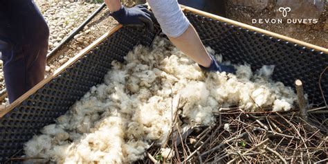 A Look at 10 Unusual Ways in which We Use Wool