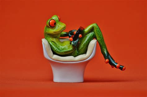Frog Chair Cozy · Free photo on Pixabay