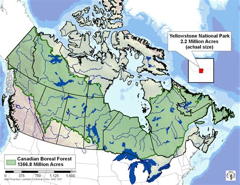 Navigating The Vast Boreal Forest: A Comprehensive Guide To Boreal Trail Maps - Complete Bali ...