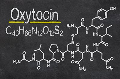 Oxytocin - Funktion & Krankheiten | MedLexi.de