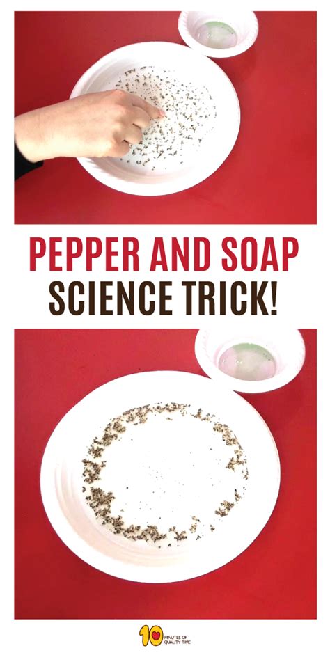 Pepper and Soap Science Trick - 10 Minutes of Quality Time | Science ...