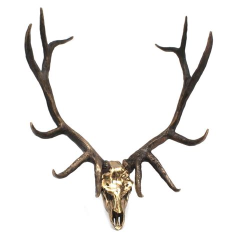 a deer's head with antlers is shown against a white background