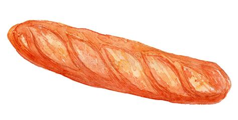 French Baguette Watercolor Illustration 2 Stock Photo - Image of culinary, bahnmi: 153164296