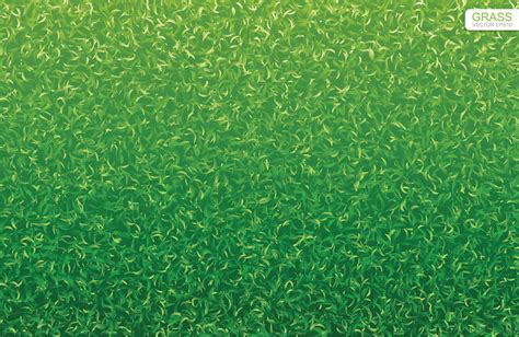 Green lawn grass texture 1343818 Vector Art at Vecteezy