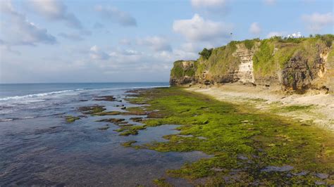 Bali Beach Videos, Download The BEST Free 4k Stock Video Footage & Bali Beach HD Video Clips