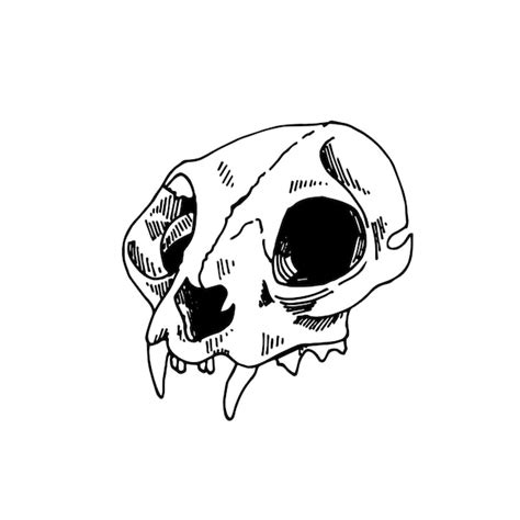 Premium Vector | Line drawing in vintage style cat skull animal skull