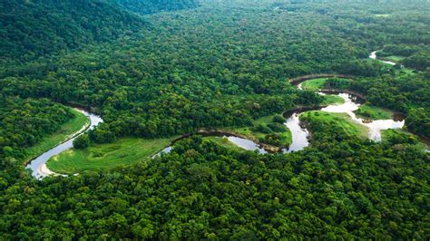 Visiting Brazil's Amazon rainforest | CN Traveller