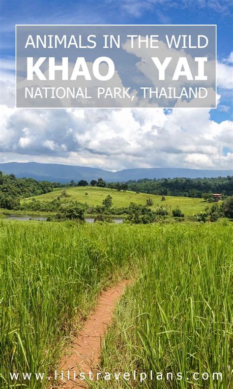 √ Khao Yai National Park Map