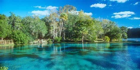 12 Natural Springs in Florida where you can Swim + Go Tubing