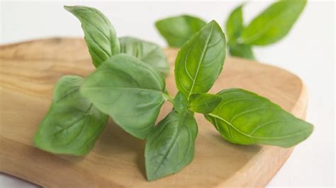 Bay leaf recipes - BBC Food