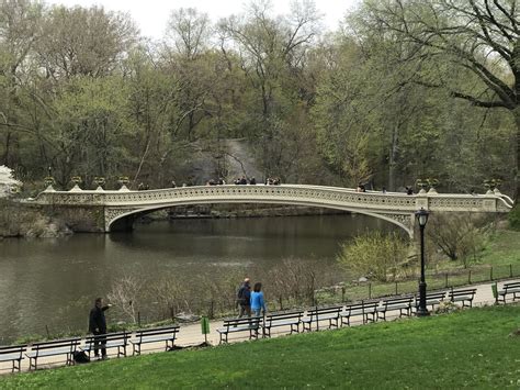 Bow Bridge, In Central Park, New York City. | Bridge, Central park, New ...